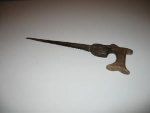 Gattuccio